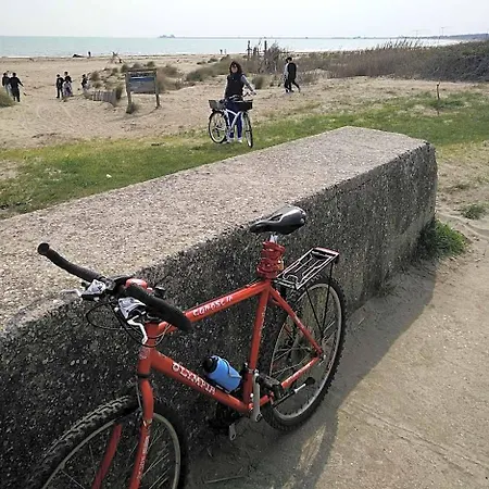 Delle Palme Lido de Venise
