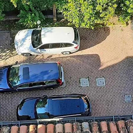 Delle Palme