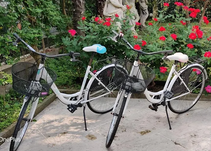 Отель Delle Palme